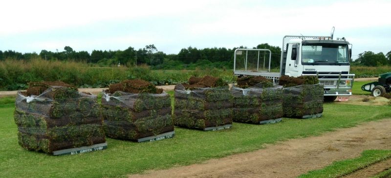 All Green Turf Supplies All Green Turf Supplies