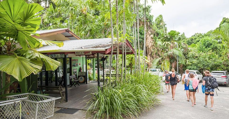 Cape Trib Beach House Cape Trib Beach House