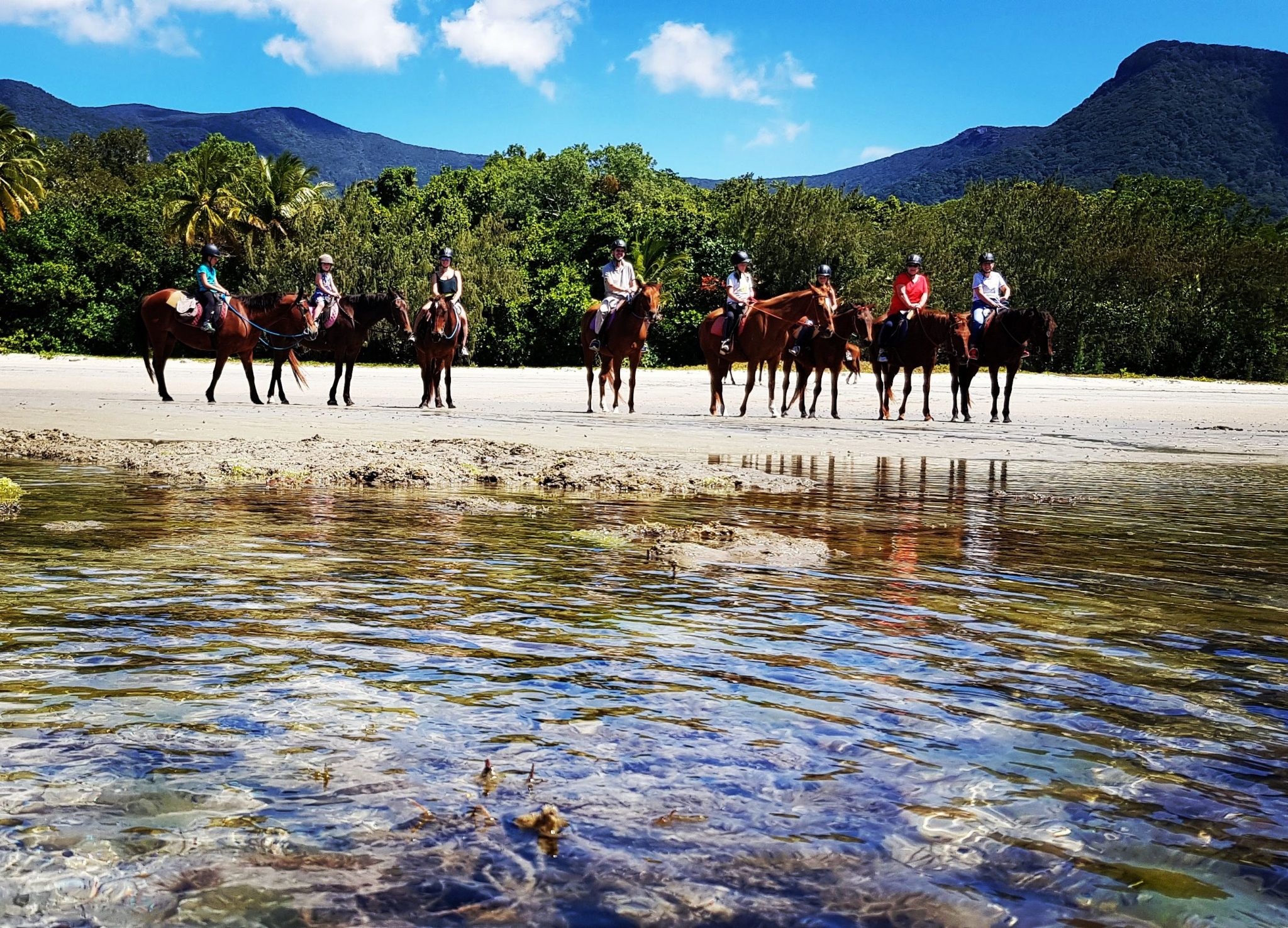 Cape Trib Horse Rides Cape Trib Horse Rides