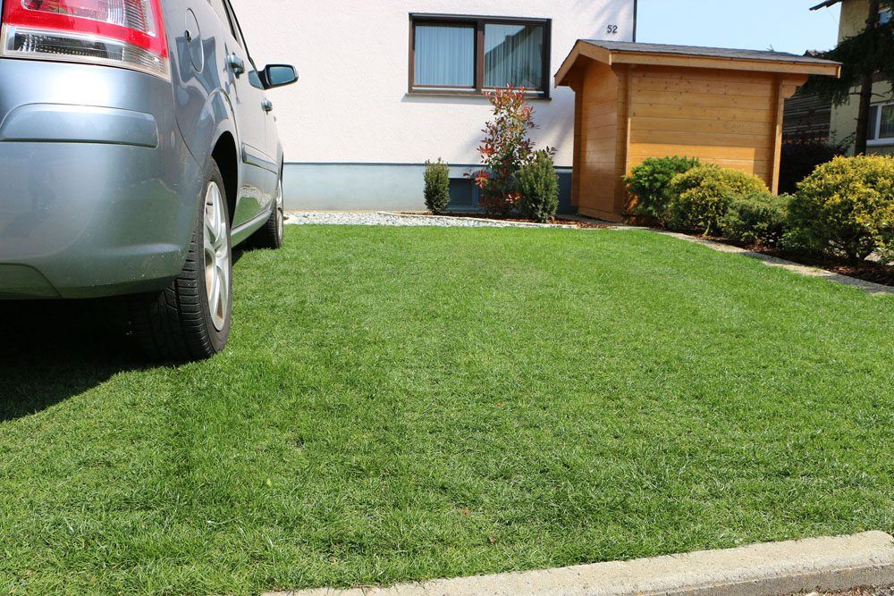 Grass Reinforcement Grass Reinforcement