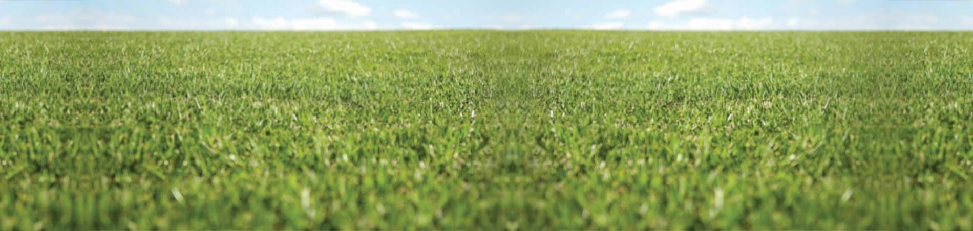 J & B Buffalo Turf Supplies J & B Buffalo Turf Supplies