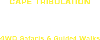Masons Tours Masons Tours