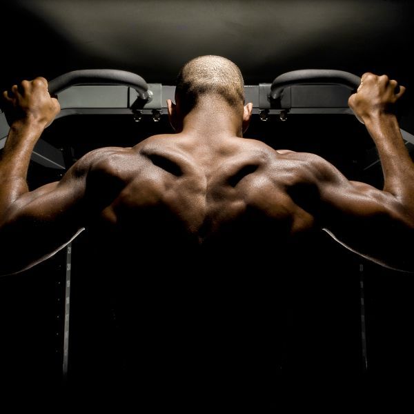 Wild Panther Fitness Wild Panther Fitness